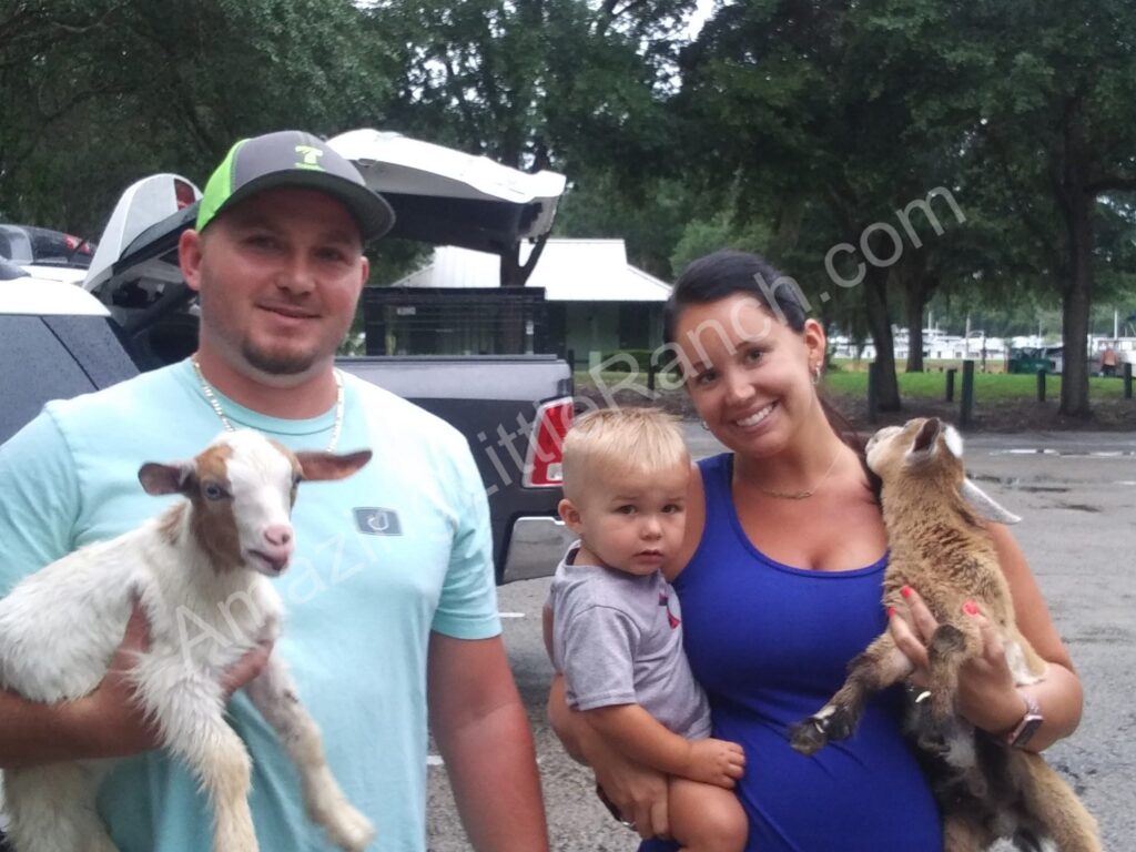 family with kids who have mini baby goats as pets